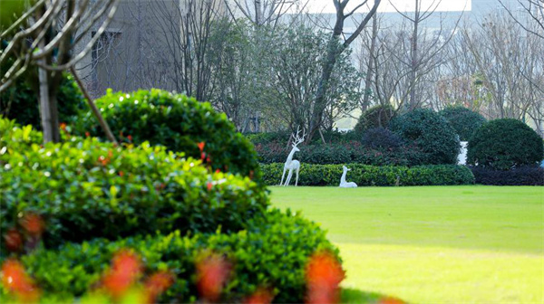 年終安家·幸福暖冬丨朝陽路上實景現房，兌現家的溫暖...