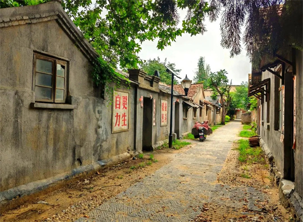 【圖說淮南】——跟隨“六姊妹”同游大通