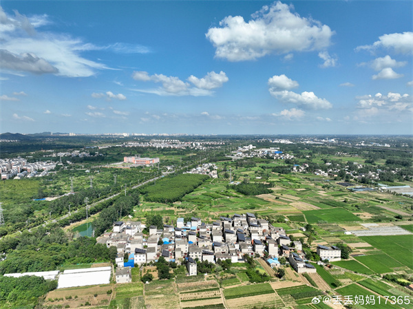 【圖說淮南】——驕陽似火  ???