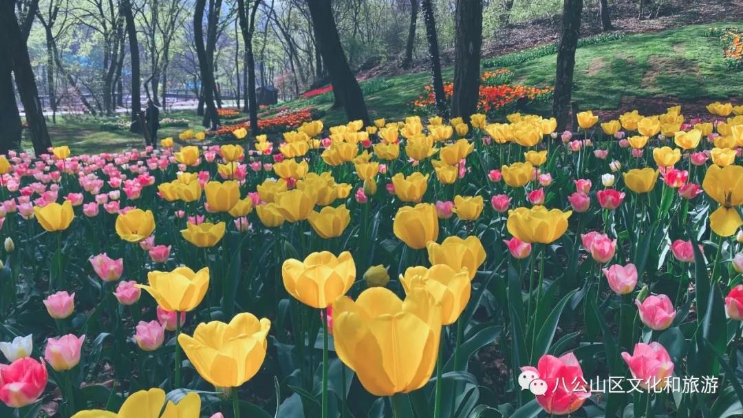 目之所及，每一幅畫卷，都溫柔繾綣